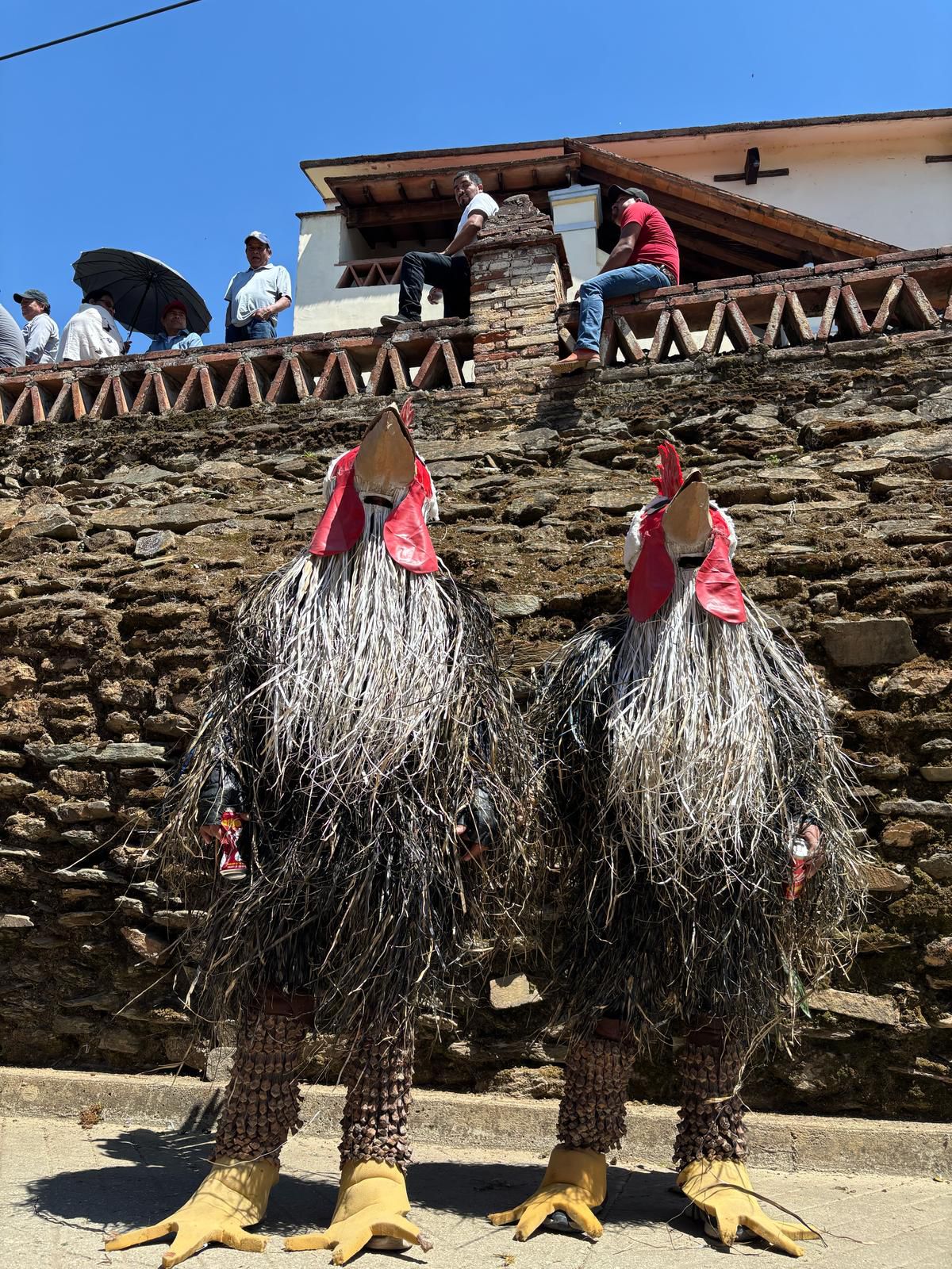 WhatsApp Image 2025-09-08 at 5.41.48 PM