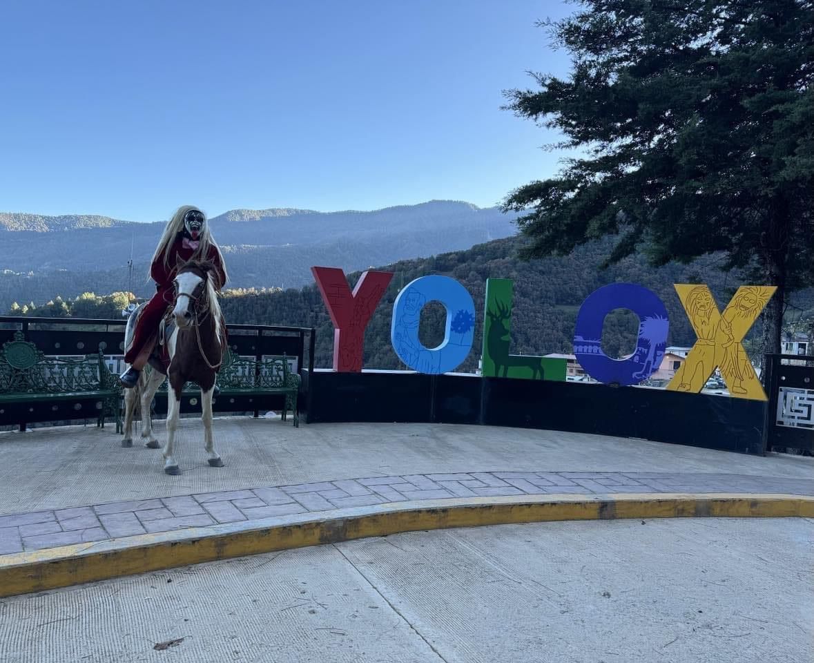 WhatsApp Image 2025-09-26 at 11.50.37 AM